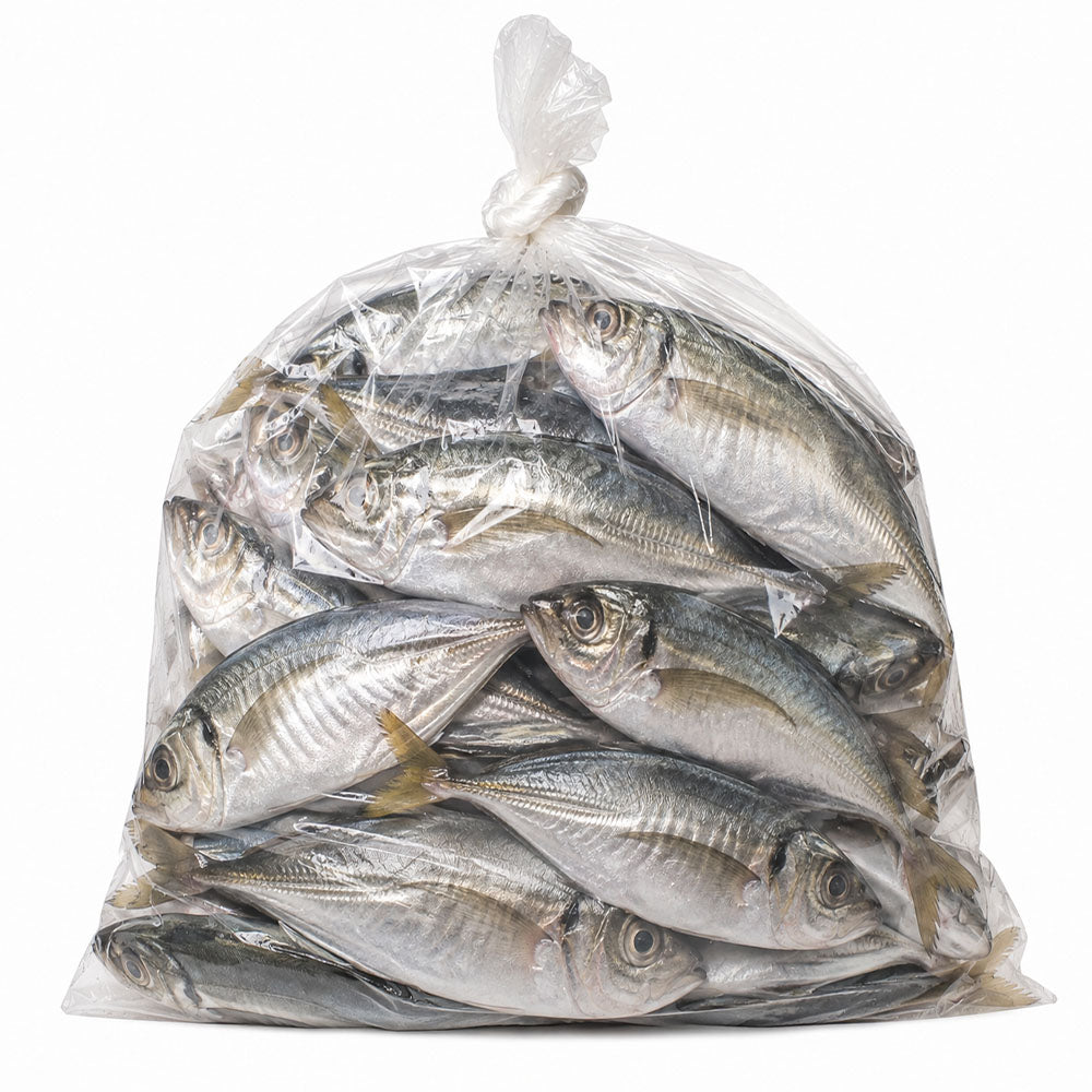 Carapau Fish 5kg Frozen