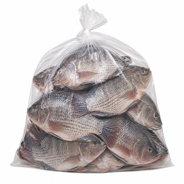 Tilapia 5kg Frozen