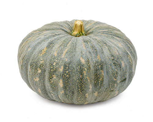 Blue Pumpkin Whole
