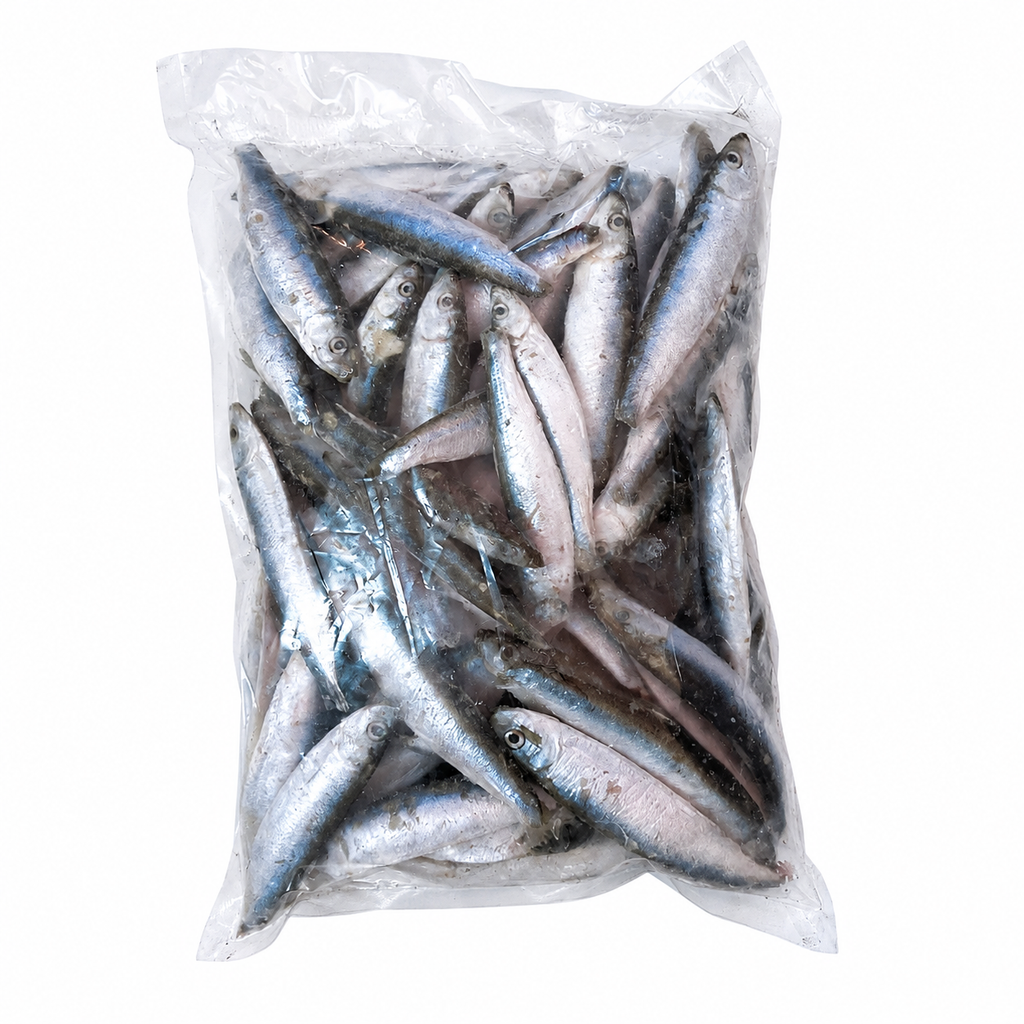 Frozen Sprat Fish 1kg