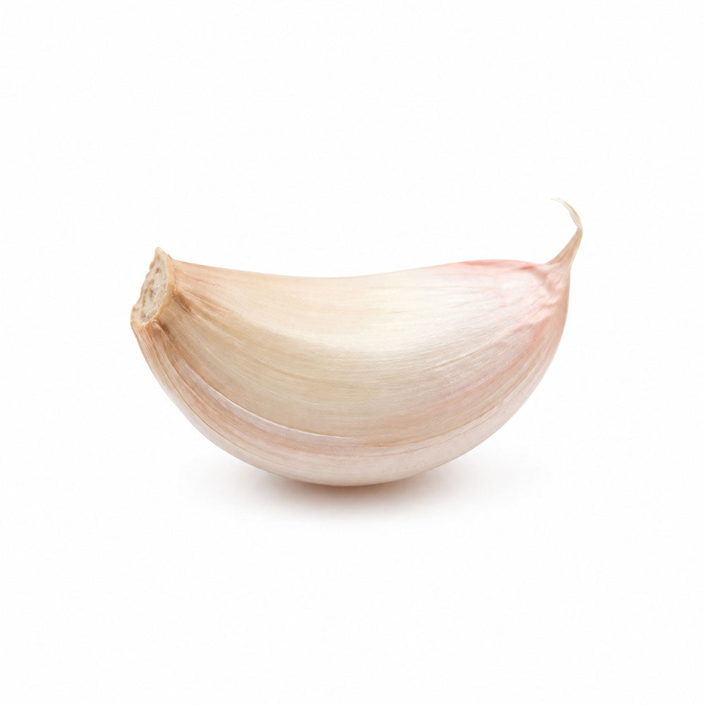 Garlic Head single