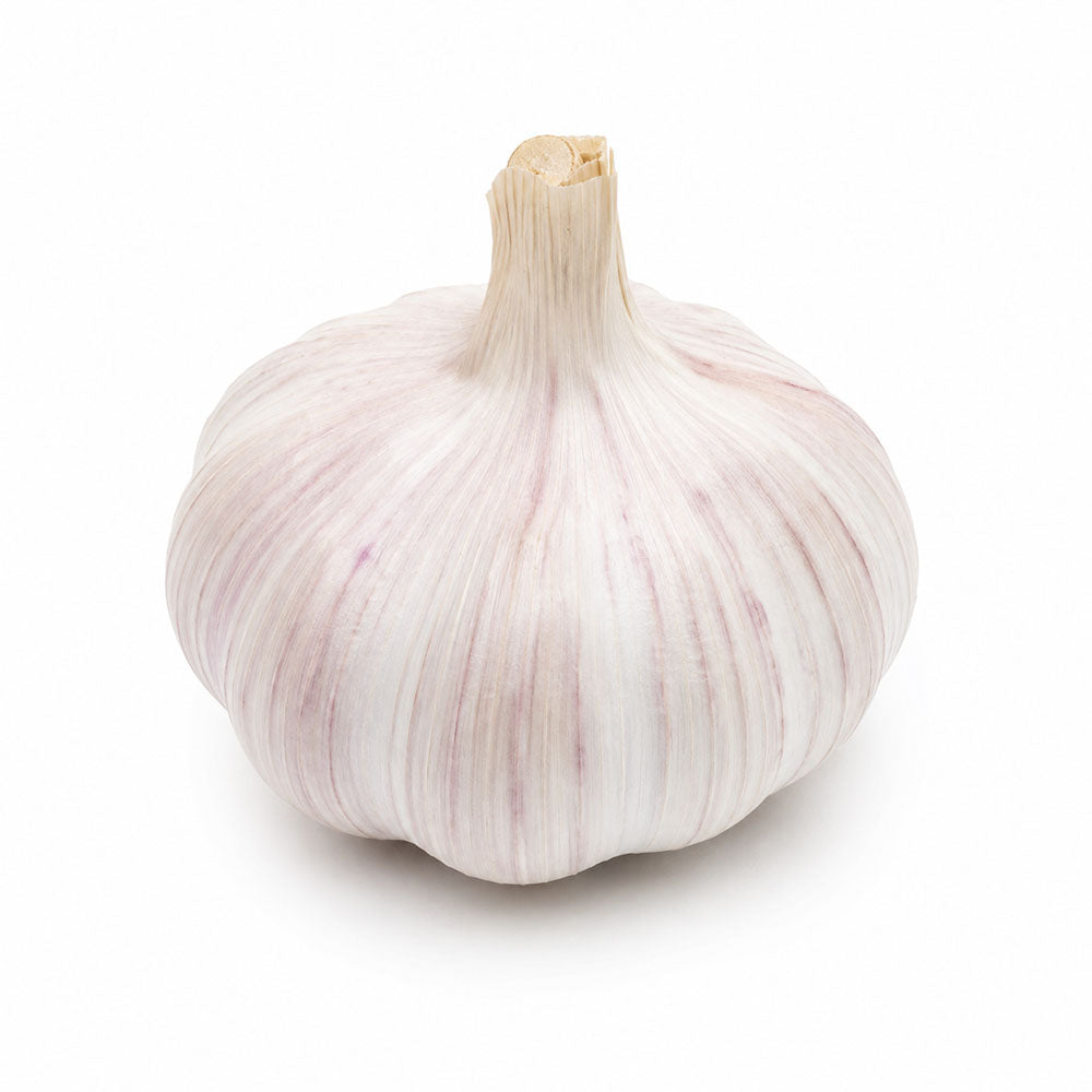 Garlic Head single