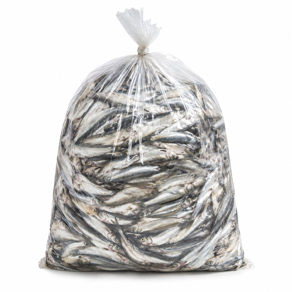 Frozen Sprat Fish 5kg