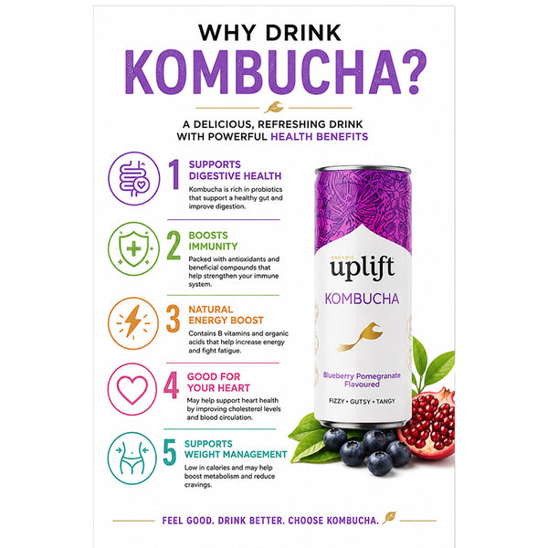 Uplift Kombucha Blueberry Pomegranate 300ml